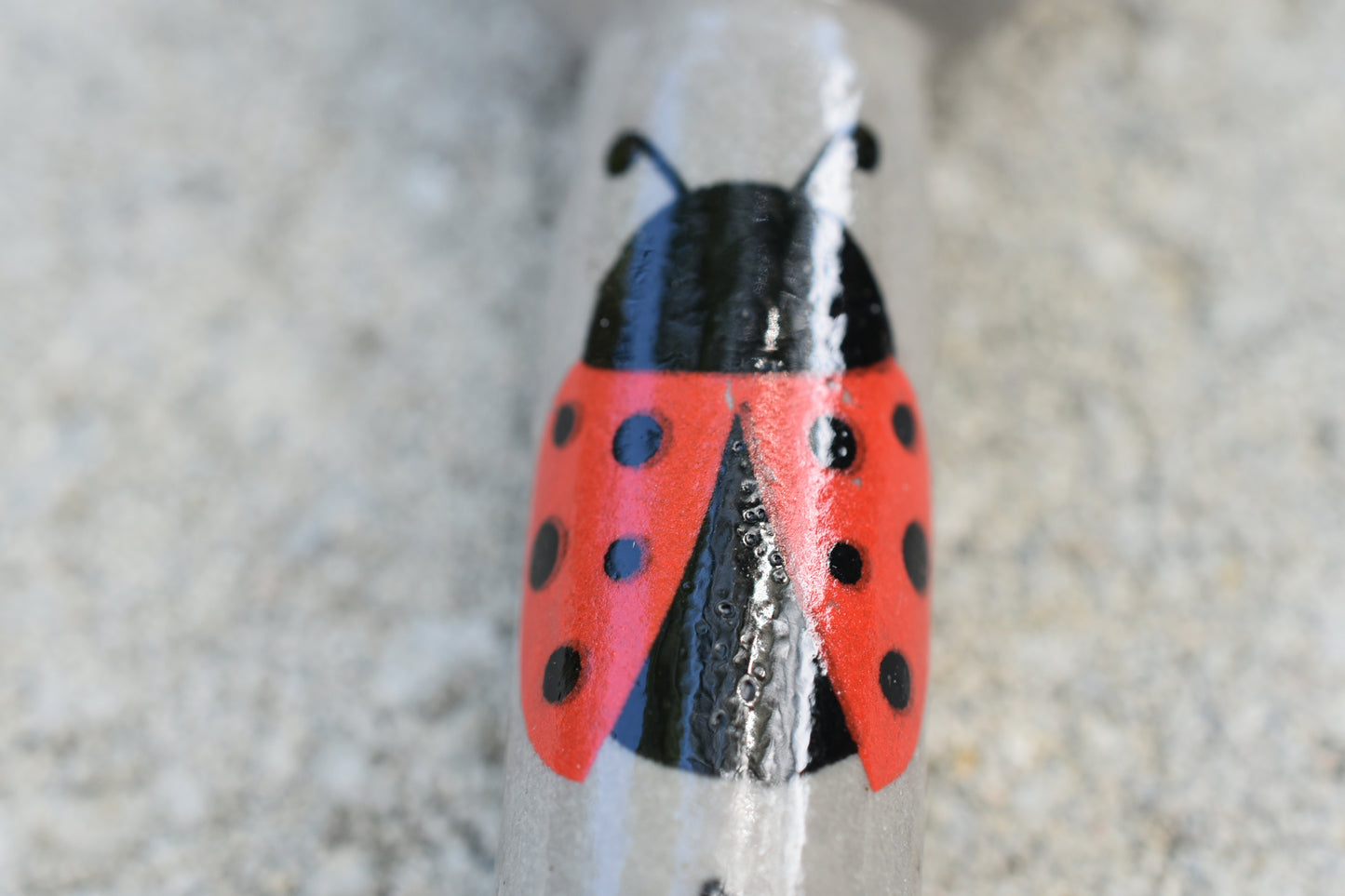 Ladybugs, Cement Gray Color, Small Pipe