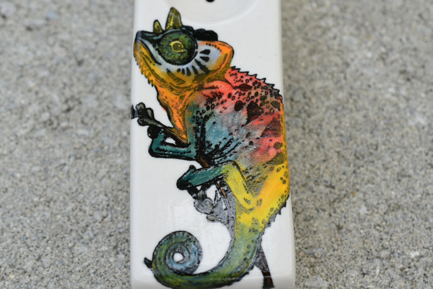 Colorful Chameleon, Rectangular Pipe